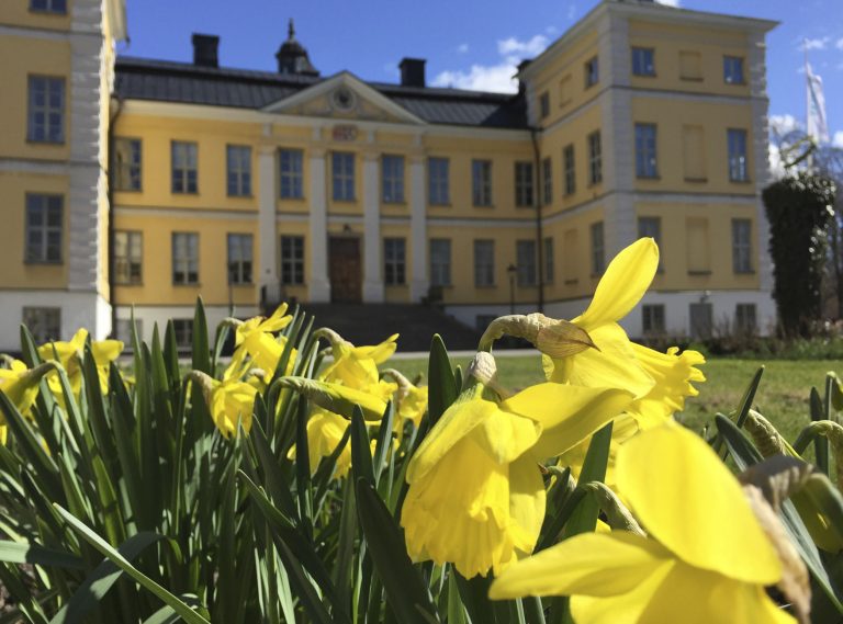 Yellow castle in spring