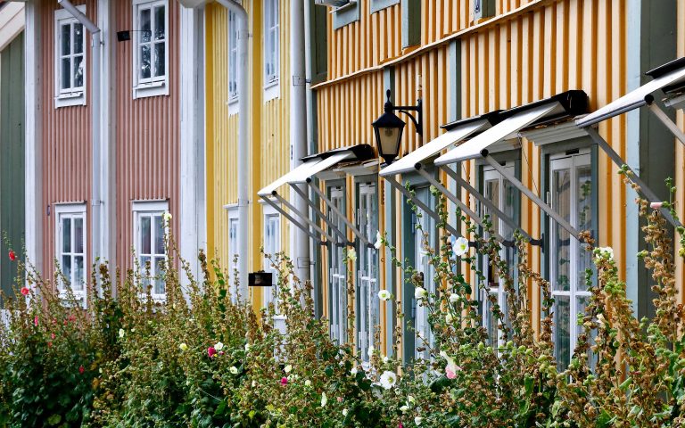 Flowers in Söderköping